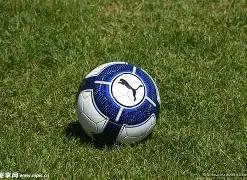 开云体育官,网入口,资讯,开云体育,开云体育官网,开云体育app,开云体育平台,KAIYUN,SPORTS,kaiyun登录入口