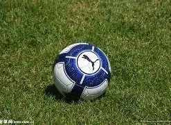 开云体育官,网入口,资讯,开云体育,开云体育官网,开云体育app,开云体育平台,KAIYUN,SPORTS,kaiyun登录入口