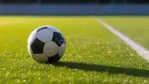 开云体育官网入口 产品 090516 s81