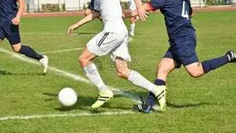 开云体育官网入口 产品 093711 ppx