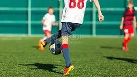 开云体育官网入口