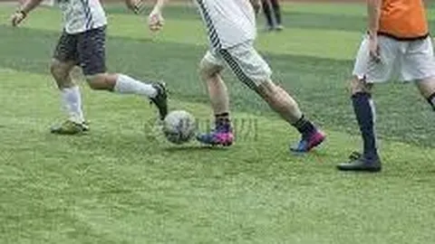 开云体育官网入口 产品 085225 qam