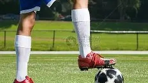 开云体育官网入口 资讯 090859 70e